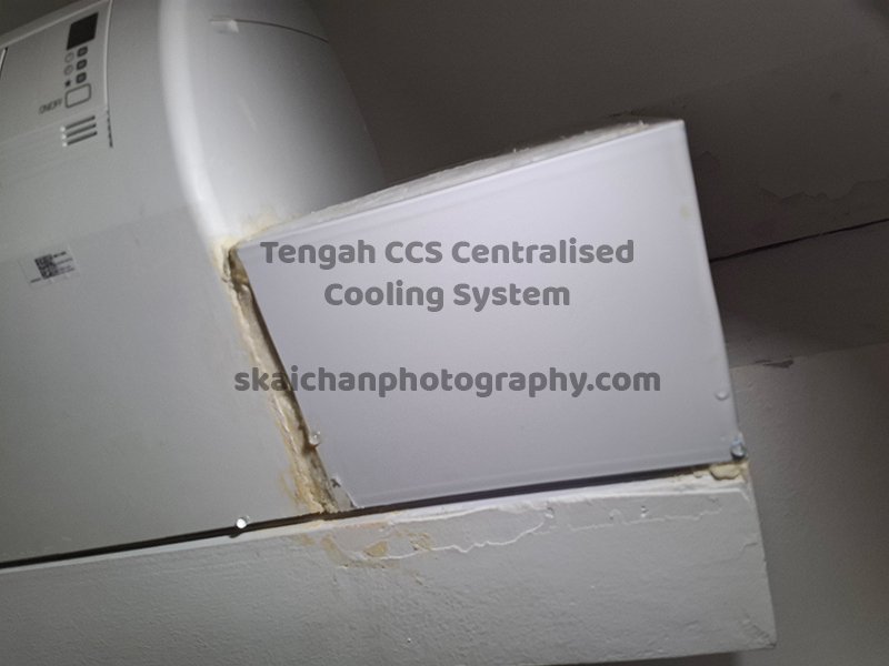 ccs condensation